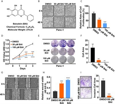 Baicalein Induces Apoptosis of Pancreatic Cancer Cells by Regulating the Expression of miR-139-3p and miR-196b-5p